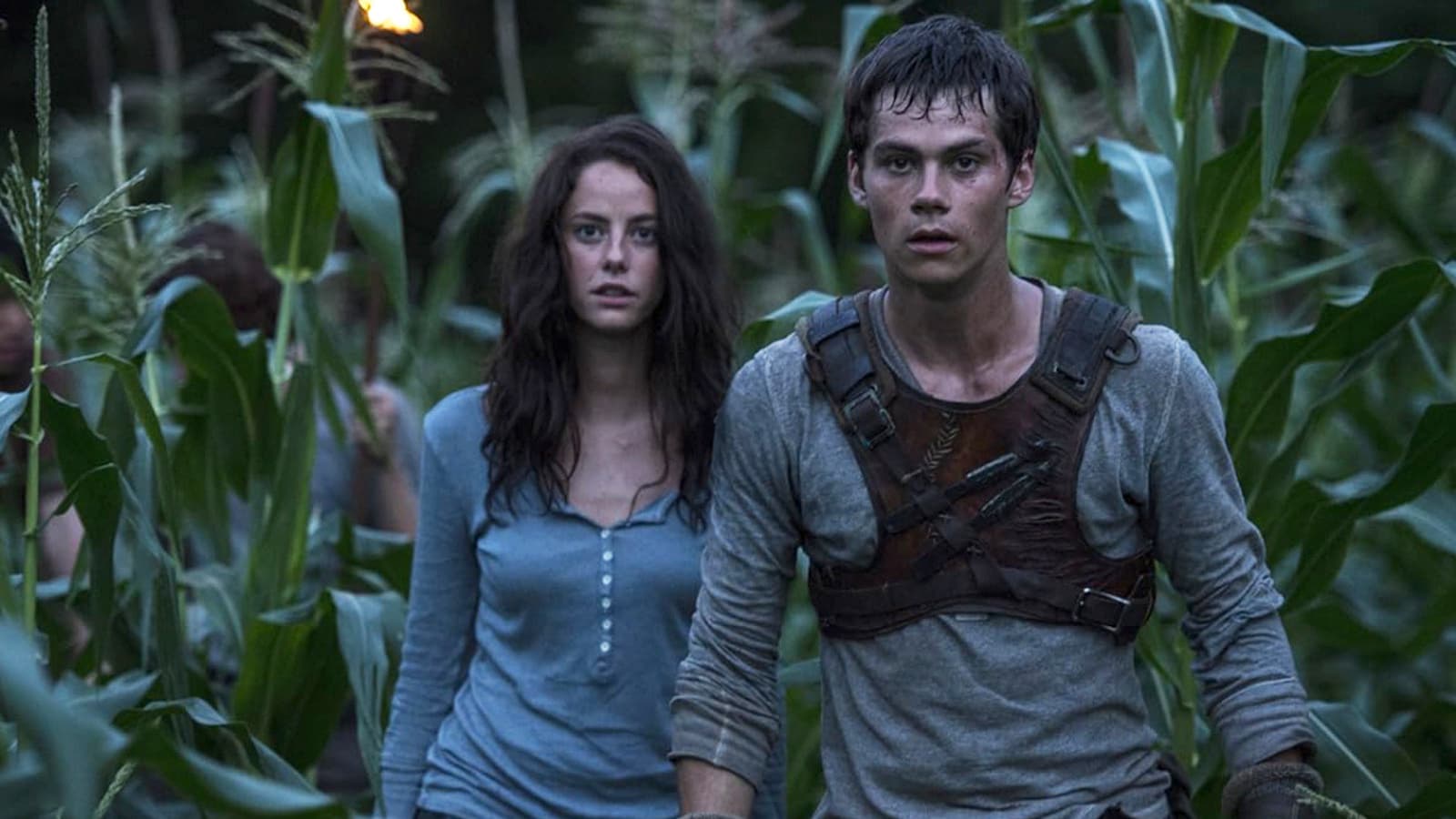 Last Call: Dylan O'Brien's Underrated Dystopian Trilogy Leaves Netflix Soon