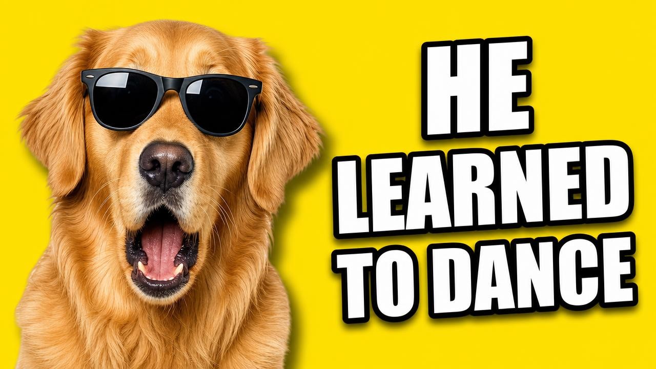 GPT Image 2 result: a YouTube thumbnail with a golden retriever in sunglasses and the text HE LEARNED TO DANCE